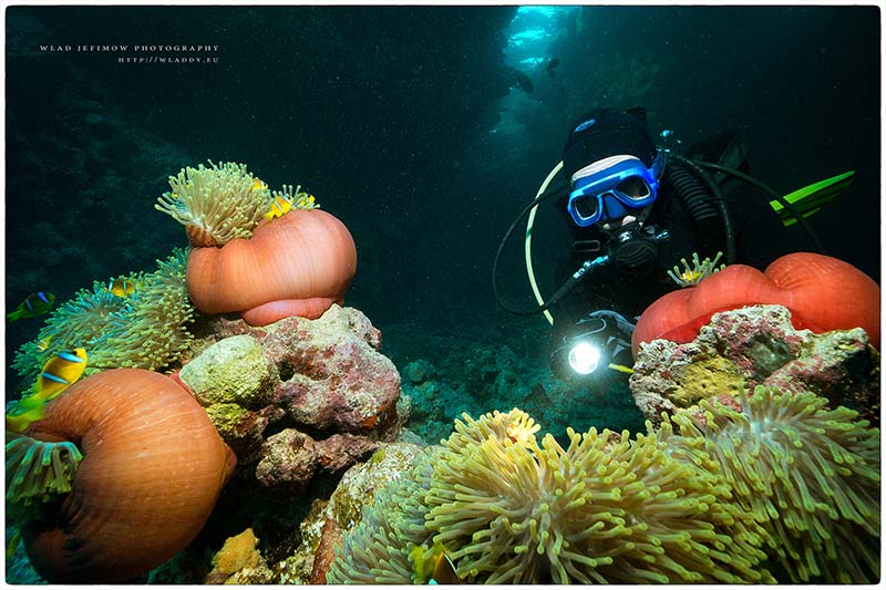 Safari Południowe, Egipt