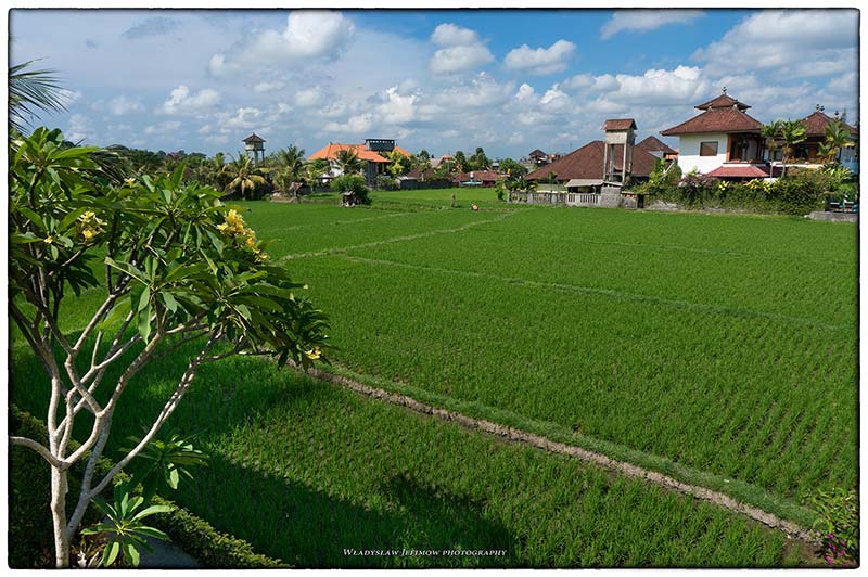 http://wladdy.eu/images/stories/bali/Ubud-7621.jpg