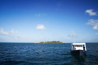 Malediwy - dhoni Stingraya