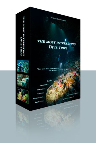 The most interesting Dive Trips series poster