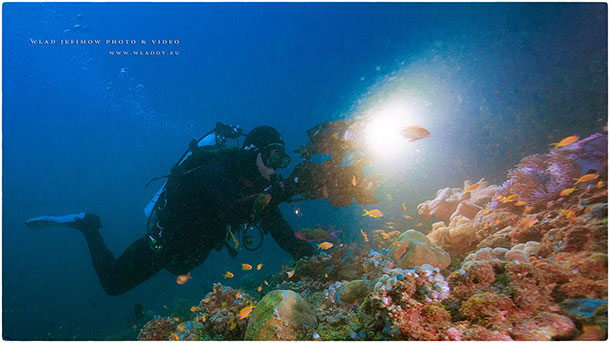 Szkolenie z filmowania podwodnego